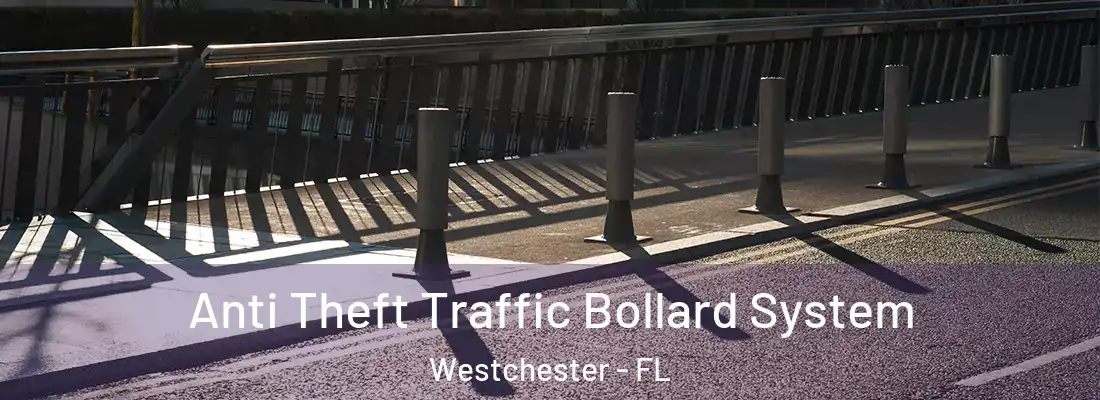  Anti Theft Traffic Bollard System Westchester - FL