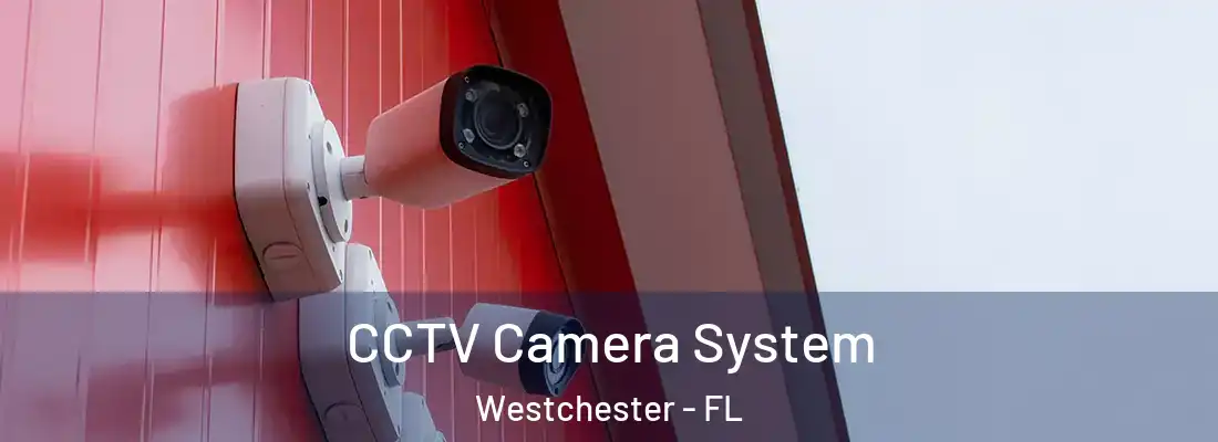  CCTV Camera System Westchester - FL