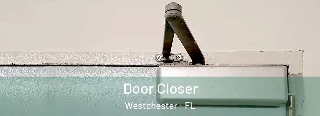  Door Closer Westchester - FL