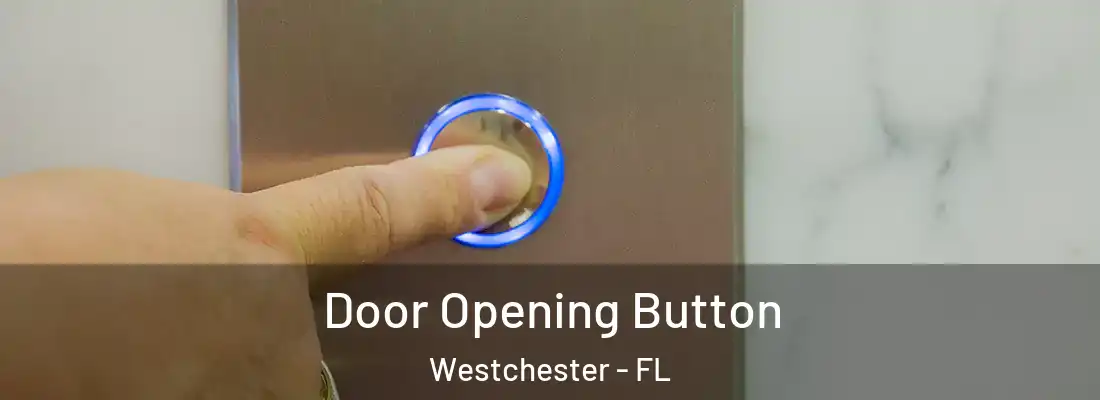  Door Opening Button Westchester - FL