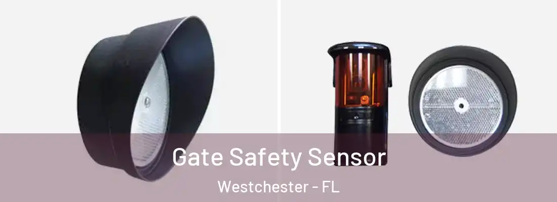  Gate Safety Sensor Westchester - FL