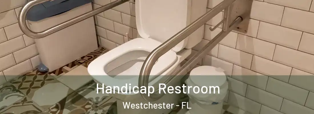  Handicap Restroom Westchester - FL