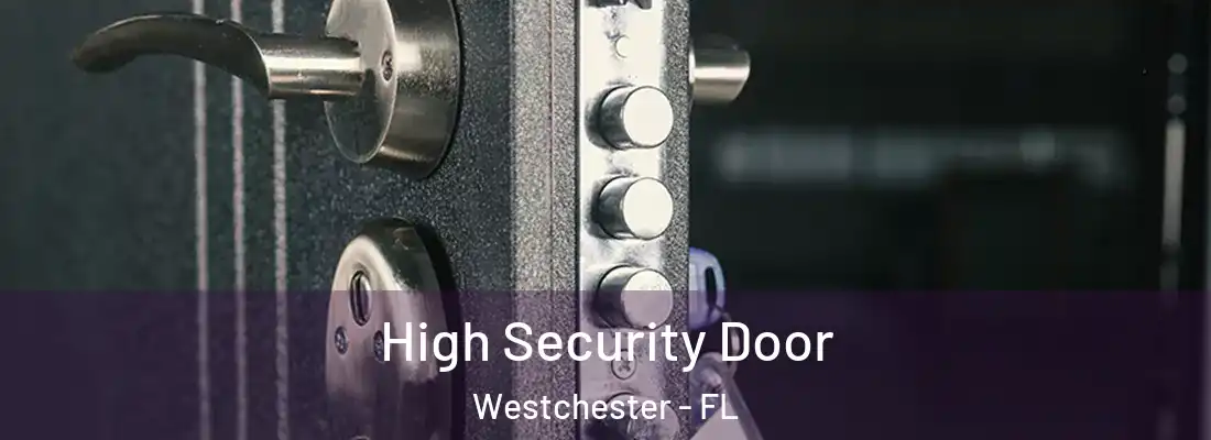  High Security Door Westchester - FL
