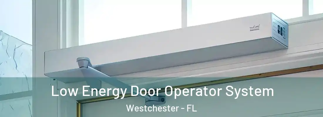  Low Energy Door Operator System Westchester - FL