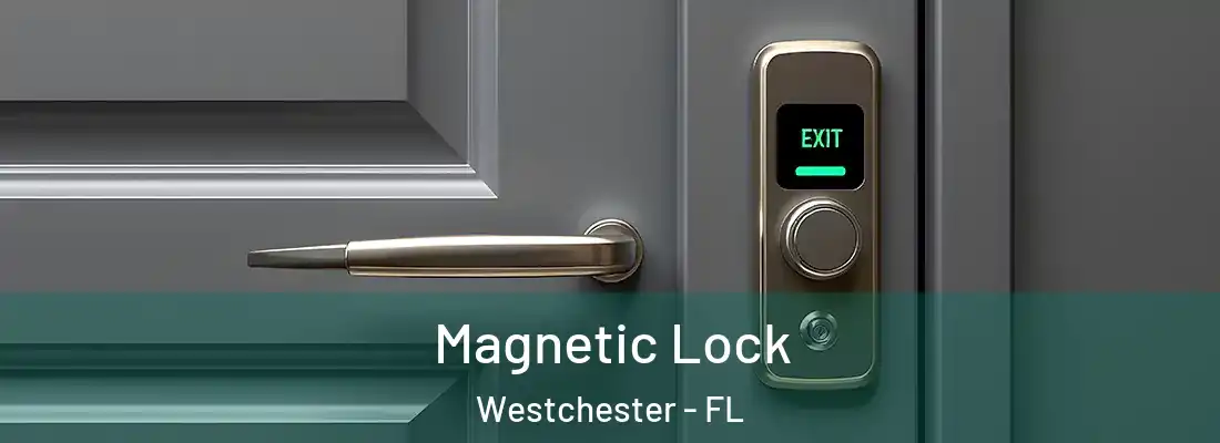  Magnetic Lock Westchester - FL