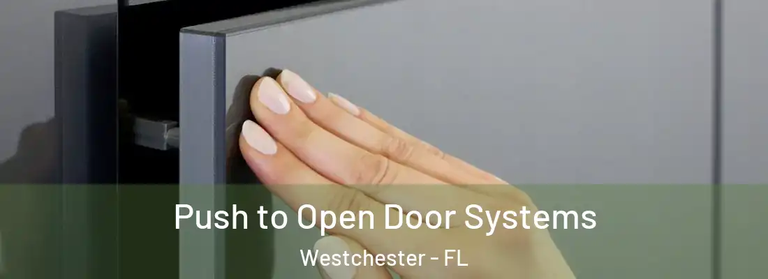  Push to Open Door Systems Westchester - FL