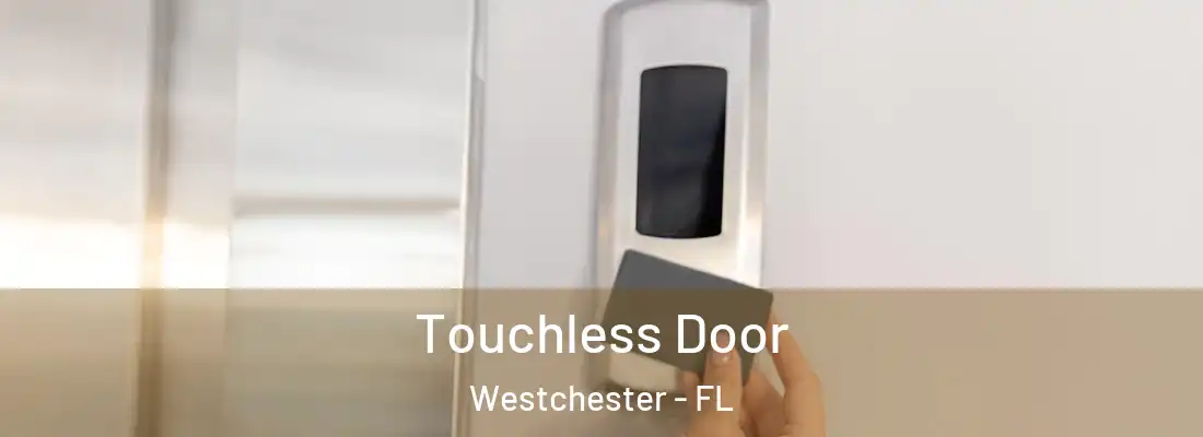  Touchless Door Westchester - FL